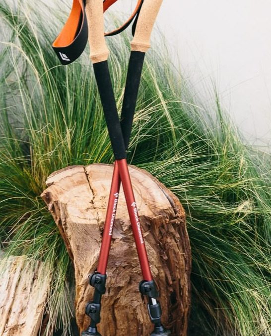 Unlock Trail Support with Effective Trekking Pole Use